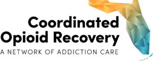 Visit CORE Network website