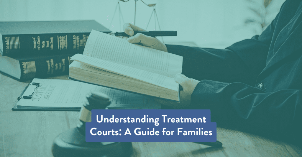 Treatment Courts in Florida are designed to help individuals recovery and rehabilitate. This guide is for families.