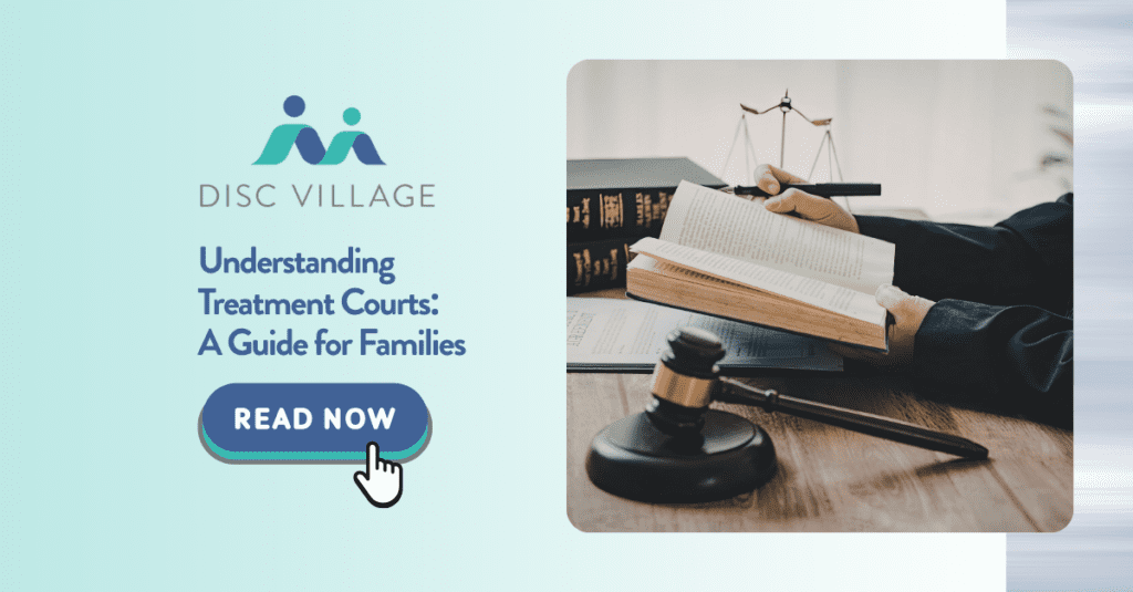 Treatment Courts in Florida are designed to help individuals recovery and rehabilitate. This guide is for families.